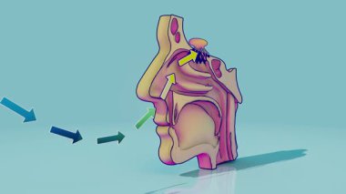 Burundan geçen hava, insan kokusu.