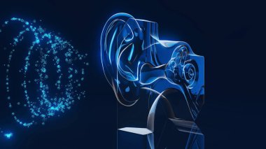 Bir kulak anatomisinin kavramsal 3D çizimi