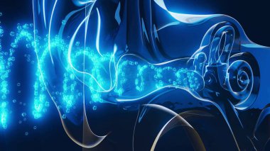 Bir kulak anatomisinin kavramsal 3D çizimi