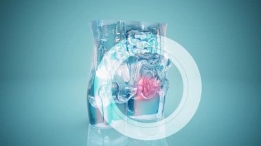 İnsan iç organlarının anatomisini resmetmek