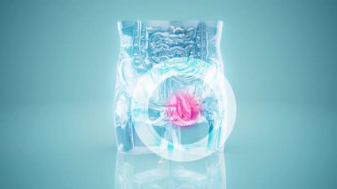 Renkli soyut şekiller ve desenler gösteriliyor