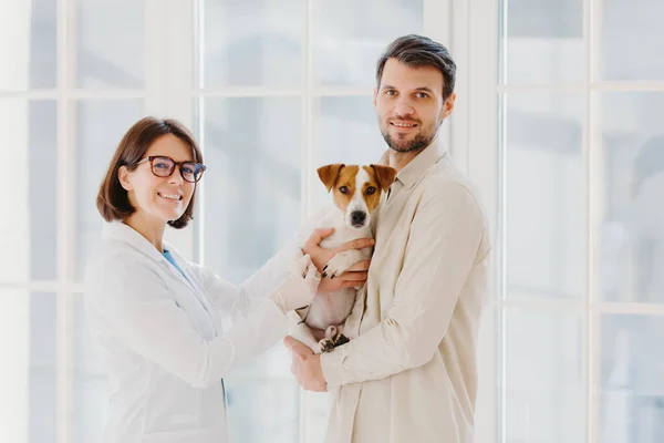 Vet female and male pet owner poses with favourite dog, come to veterinary office or hospital for doctor checkup, stand together indoor against big window, talk to each other, give useful advice