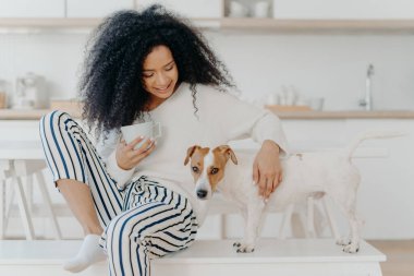 Positive curly young woman drinks aromatic drink, plays with dog, poses against cozy kitchen interior, express love, togtherness and friendship between animals and people. Domestic atmosphere