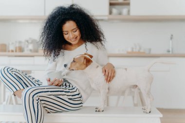 Shot of pleasant looking young woman focused down, plays with favourite dog, holds cup of drink, pose together in kitchen, express love, has free time. Relationship between people and animals