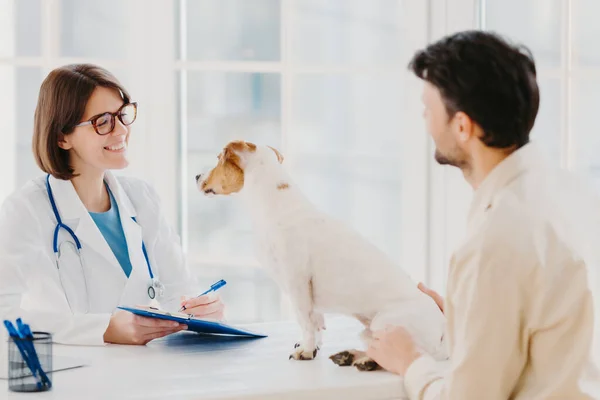 Vet checks pet in hospital, modern office, communicates with male host, writes down form in clipboard, likes animals, cares about health. Dog owner in doctors cabinet with jack russell terrier