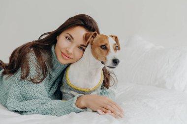 Sevimli esmer kadının görüntüsü soylu Jack Russel Terrier 'a eğilir, evcil hayvanını sevgiyle kucaklar, birlikte zaman geçirir, beyaz çarşaflara uzanır. İnsanlar, hayvanlar, aşk ve arkadaşlık kavramı. Köpek sever.