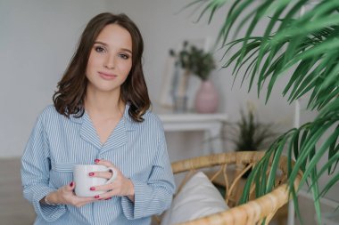 Photo of pretty female with appealing look, dressed in casual domestic clothes, holds white mug with aromatic coffee or tea, sits on wicker furniture indoor with copy space for your advertisement