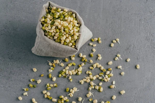 Green Orgnaic Mung Beans Sprouts Spread Small Sack Isolated Grey — Stock Photo, Image