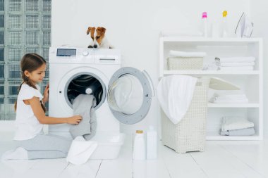 Evde çamaşır yıkayan, çamaşır makinesinin yanında diz çöküp poz veren, çamaşır yıkayan, çamaşır yıkayan, soylu bir köpek kullanan, ev sahibi küçük bir kadına bakan küçük bir kız. Oda servisi kavramı