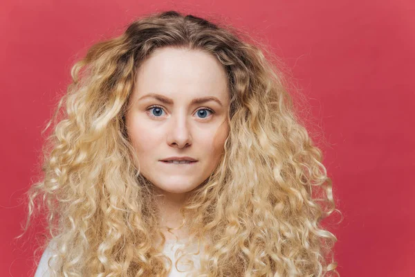 Headshot of beautiful curly blonde female with blue eyes, healthy skin, bites lower lip, looks directly into camera, isolated over bright pink background. People, appearance and beauty concept