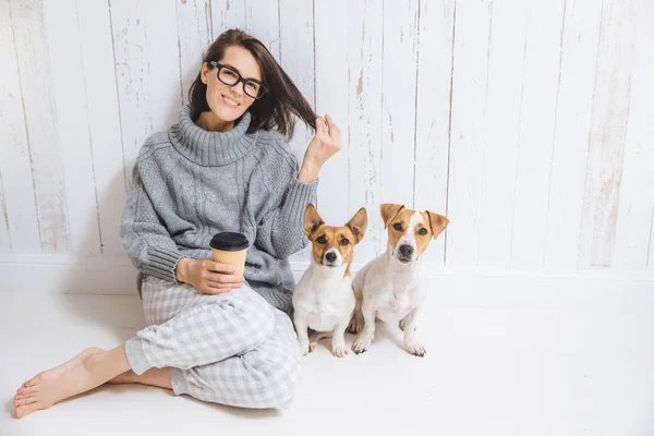 Happy brunette female dressed in loose domestic clothes, being glad, sits on floor, relaxes with hot cappuccino in paper cup, spends time with dogs, isolated over white fence background