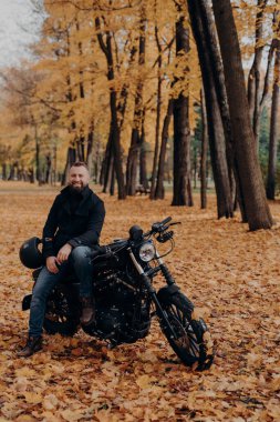 Neşeli motorcu araba kullandıktan sonra mola vermek için poz veriyor, siyah motosikletin yanında poz veriyor, koruyucu kask takıyor, sarı ağaçlar tutuyor ve oradan ayrılıyor, havanın tadını çıkarıyor. Sonbahar sezonu. Şehir yaşam tarzı. Açık hava çekimi