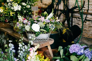 Güzel Çiçek çiçekçi dükkanı. Ahşap backets farklı harika çiçeklenir. Renkli kompozisyon. Hoş kokuyor veya ordours dan güzel çiçekler