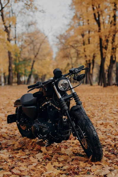 Pionowy Obraz Czarnego Motocykla Jesiennym Parku Szybki Motocykl Zewnątrz Jazdy — Zdjęcie stockowe