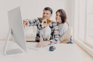 Memnun genç kadın ve erkek bilgisayar içeriğini izliyor, monitör ekranına işaret ediyor, komik videolar izliyor, köpeğe odaklanıyor, beyaz masaüstünde poz veriyor, web sitesinde film arıyor, yeni bir başlangıç projesi geliştiriyor
