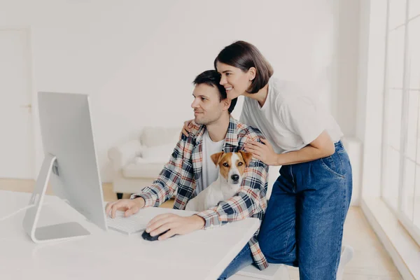 快乐的妻子穿着白色T恤和牛仔裤 拥抱着在电脑前工作的丈夫 帮助他写报告 专注于监控 家养家养的狗跪在主人的膝上 工作程序 — 图库照片