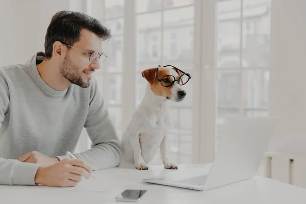 Businessman concentrated in display of laptop computer, writes down notes, works with favourite pet, pose in home office, wear spectacles, work freelance. People, work, technology, animals concept