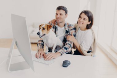 Neşeli karı ve kocaların kapalı çekimleri neşeli ifadelerle bakın, komik film izlerken gülün, boş zamanlarınızda dinlenin, meraklı köpek bilgisayarın monitörüne dikkatlice bakın, adam klavyesi
