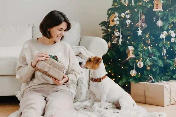 Χαρούμενη Μελαχρινή Δείχνει Γυναίκα Έλαβε Δώρα Στο Αγαπημένο Σκυλί Ποζάρουν — Φωτογραφία Αρχείου