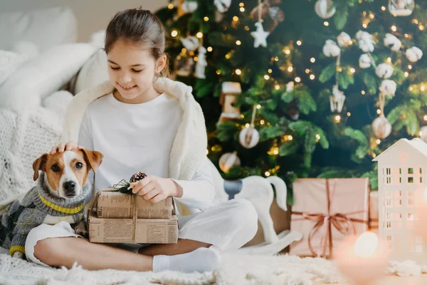 Sevimli küçük çocuğun fotoğrafı bacak bacak üstüne atarak oturuyor, evcil hayvan dölü köpek ailelerden yılbaşını birlikte kutlayan Noel hediyeleri alıyor. Jack Russell Terrier ile tatilin tadını çıkarıyor. Hediyeleri açıyor.