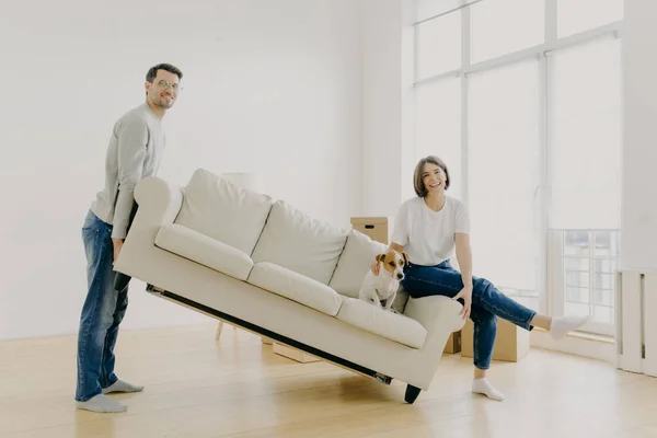 Move into new home. Husband and wife carry sofa, furnish living room after renovation, happy to buy apartment, lovely pet poses on couch, work together as team, place furniture in empty room