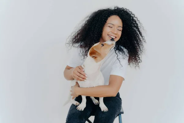 Leende Afro Kvinna Får Hundens Kyss Sitter Mot Vit Vägg — Stockfoto