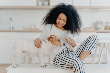 Kahve molasında olan sevimli Afro-Amerikan kadın, soylu köpeğini okşayan, rahat beyaz mutfak bankında mutlu bir şekilde gülümseyen. İnsanlar, ilgi, aşk ve hayvanlar..