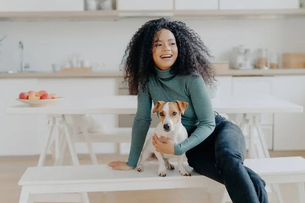 犬と楽しいアフロの女性は台所のベンチに座って 家庭の遊びを楽しみ ケアと責任を感じ リンゴに囲まれています — ストック写真