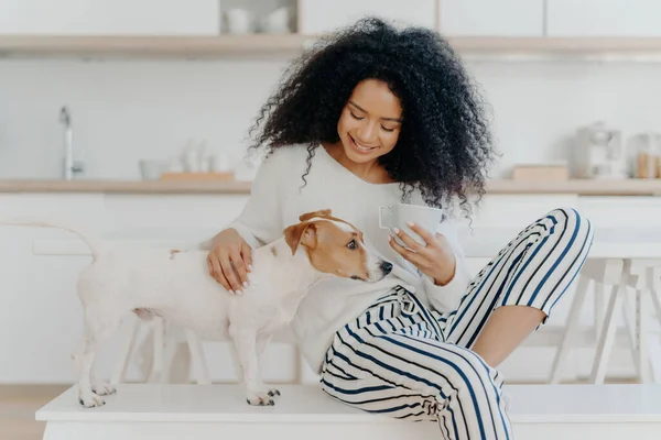 Прекрасна Афроамериканська Жінка Перерві Каву Погладжуючи Родових Собак Щасливо Посміхається — стокове фото