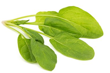 Yeşil ıspanak yaprakları, beyaz arka planda izole