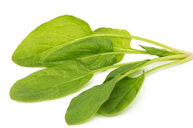 Yeşil ıspanak yaprakları, beyaz arka planda izole