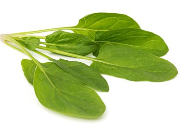 Yeşil ıspanak yaprakları, beyaz arka planda izole