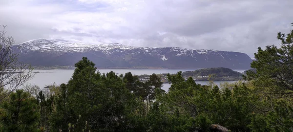 Панорамний Вид Фіорду Аксла Алесунн Норвегія — стокове фото