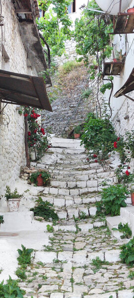 Berat, Albania - 5 June 2022: Beautiful charming street in Berat with white houses and plants