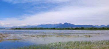 Mavi gökyüzü ile Skadar Gölü, Arnavutluk