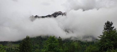 Arnavutluk 'un Lanetli Dağları' ndaki Valbone Valley Ulusal Parkı