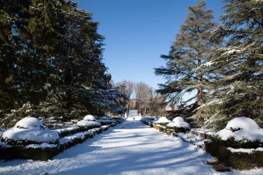Segovia, Spain - 4 January 2022: Gardens of Royal Palace of La Granja de San Ildefonso covered with snow on a sunny day in winter