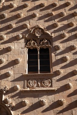 Salamanca, İspanya - 7 Ocak 2021: Casa de las Conchas ön cephe