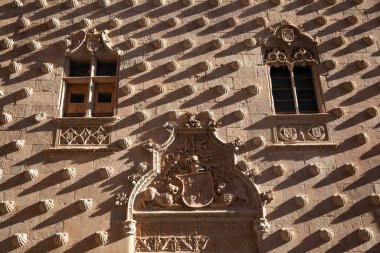 Salamanca, İspanya - 7 Ocak 2021: Casa de las Conchas ön cephe