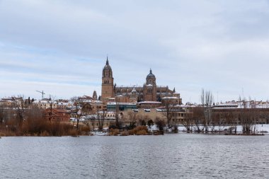 Salamanca, İspanya - 10 Ocak 2021: Salamanca Katedrali 'nin karla kaplı panoramik manzarası