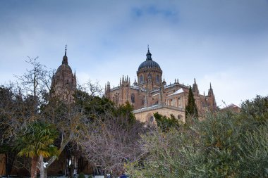 Salamanca, İspanya - 10 Ocak 2021: Yeni Salamanca Katedrali karla kaplı