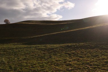 Önünde bir ağaç, arkasında bulutlu bir gökyüzü olan bir yamaç. Tepe çimlerle kaplı ve güneş bulutların arasından parlıyor.