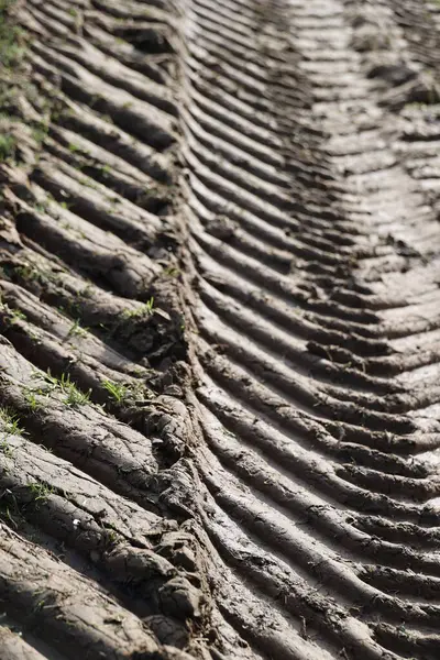 Toprak çok çamurlu ve bir sürü lastik izi var.