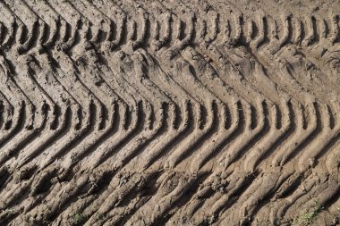 Görüntü, tekerlek izleri olan çamurlu bir yol. Lastik izleri uzun ve dolambaçlı, çamur da kalın ve karanlık. Sahne kirlilik ve yorgunluktan ibarettir.