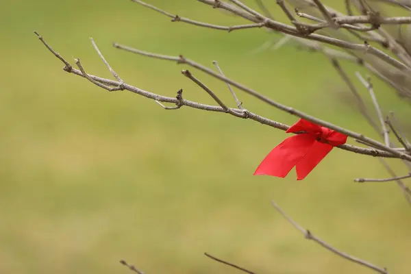 Kırmızı bir kurdele bir ağaç dalına bağlıdır. Yalnızlık ve yalnızlık kavramı, çünkü sahnede görünen tek şey kurdele.