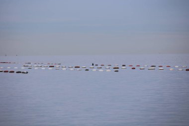 Üzerinde bir insan olan büyük bir su kütlesi. Su bir sürü küçük tekneyle doludur.