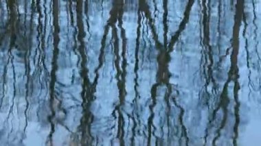 İçinde ağaçların yansıması olan bir su kütlesi. Sahne sakin ve huzurlu, su gibi.