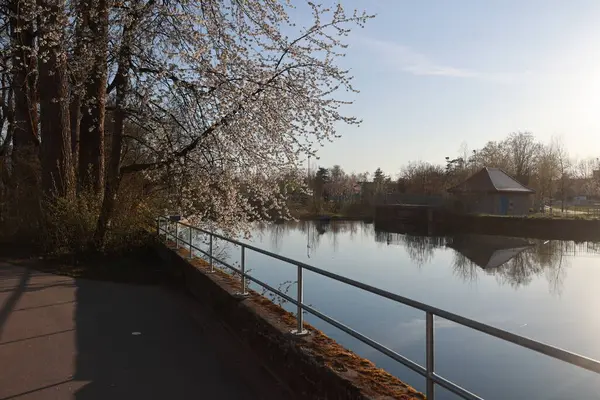 Bir çit bir yolu bir su kütlesinden ayırır. Su sakin ve gökyüzü berrak.