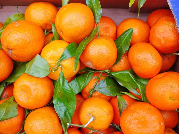 Üstünde yeşil yapraklar olan bir demet portakal. Portakallar olgunlaştı ve yenmeye hazır. Tazelik ve bolluk kavramı.