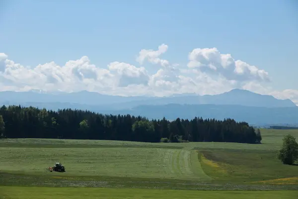 Bir traktör otların arasından geçiyor. Gökyüzü açık ve güneş parlıyor.